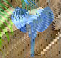 Deja Vu Palm Cove Private Heated Pool - Tourism Hervey Bay