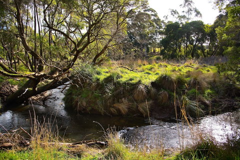 Green Gully House - Hervey Bay Accommodation 0