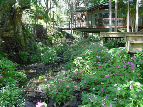 Treetops Accommodation Montville - Hervey Bay Accommodation 4