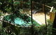 Treetops Accommodation Montville - thumb 6