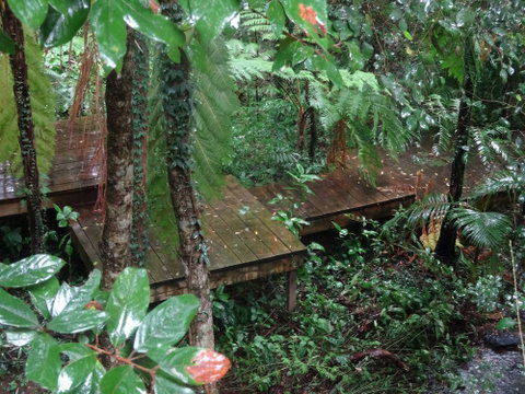 Treetops Accommodation Montville - Hervey Bay Accommodation 1