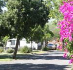 BIG 4 Hay - Hervey Bay Accommodation