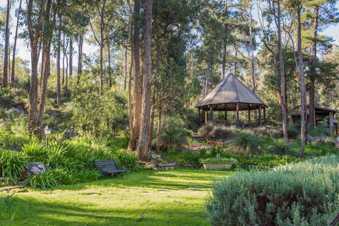 Lavenderpatch - Tourism Hervey Bay 4