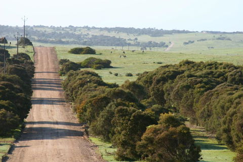 Almonta Park Lodge - Hervey Bay Accommodation 4