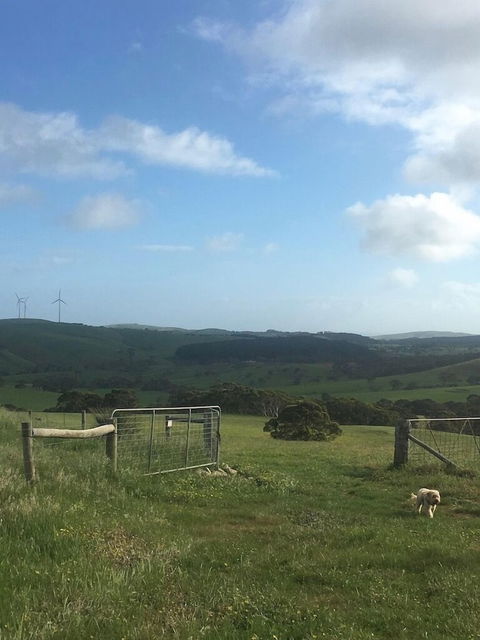 Morella Farm Stay - Hervey Bay Accommodation 2