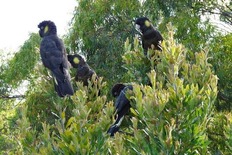Eagles Rise Tasmania - Hervey Bay Accommodation 5