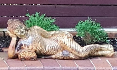 Ballina Palms Boutique Motel - Hervey Bay Accommodation 1