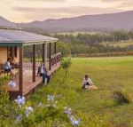 Hanging Tree Wines - Hervey Bay Accommodation