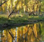 On The Banks - Hervey Bay Accommodation