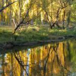 On The Banks - Hervey Bay Accommodation 0