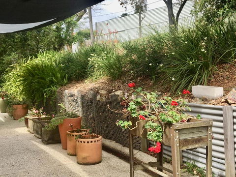 Eumundi Guesthouse & B & B - Hervey Bay Accommodation 4