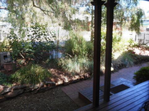 Rosebank Bed & Breakfast - Tourism Hervey Bay 6