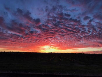 Barossa House - Hervey Bay Accommodation 4