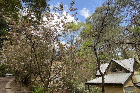 Lochiel Luxury Accommodation - Hervey Bay Accommodation 4