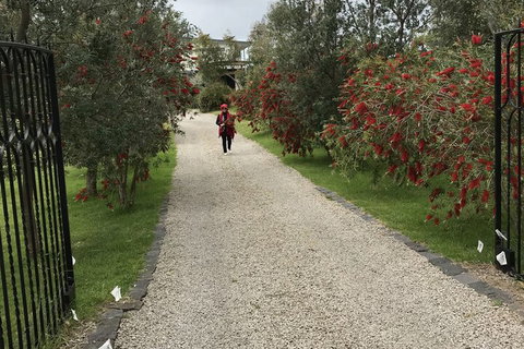 Harmony Bed & Breakfast - Hervey Bay Accommodation 2