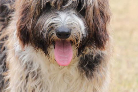 Harmony Bed & Breakfast - Hervey Bay Accommodation 3