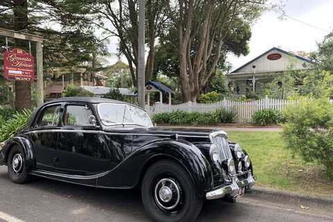 Genesta House B&B - Hervey Bay Accommodation 4