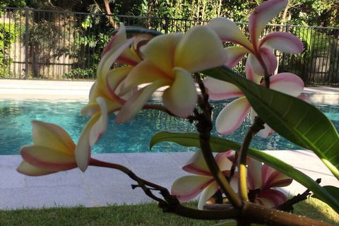 Arabella Garden Inn Motel - Tourism Hervey Bay 2