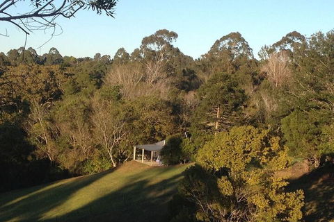 Jacaranda Cottages - Hervey Bay Accommodation 3