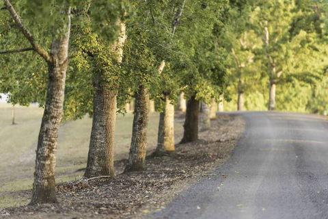 Clarendon Forest Retreat - Hervey Bay Accommodation 3
