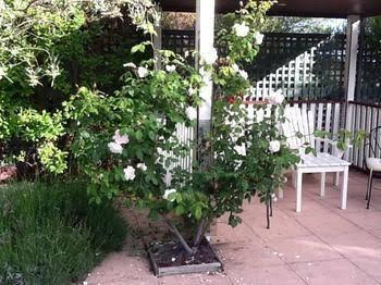 Ellesmere House - Hervey Bay Accommodation 0