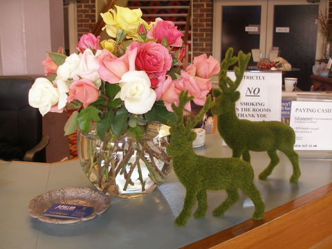 Apollon Motor Inn - Tourism Hervey Bay 2