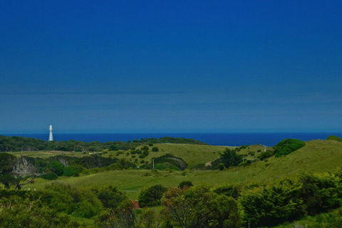 Island Breeze Motel - Hervey Bay Accommodation 2