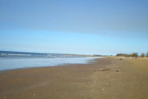 Moore Park Beach Motel - Hervey Bay Accommodation 0