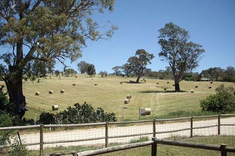 1860 Wine Country Cottages - Hervey Bay Accommodation 4