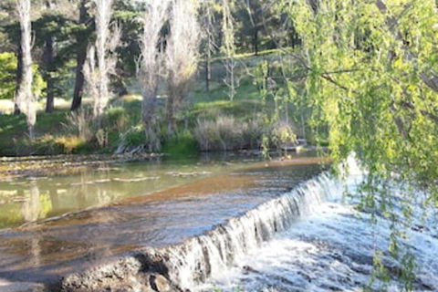 Avocados Accommodation - Hervey Bay Accommodation 0