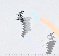 The Sails Motel Brunswick Heads - Tourism Hervey Bay