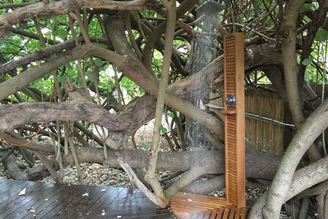 The Beachside Cottages - Tourism Hervey Bay 4