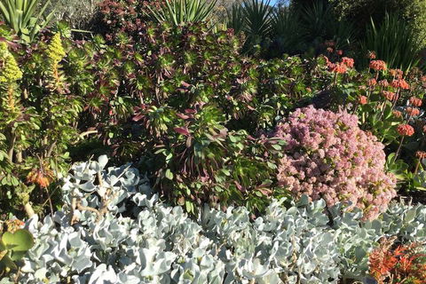 Glenrowan Kelly Country Motel - Hervey Bay Accommodation 5