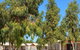 Karratha Village - thumb 4