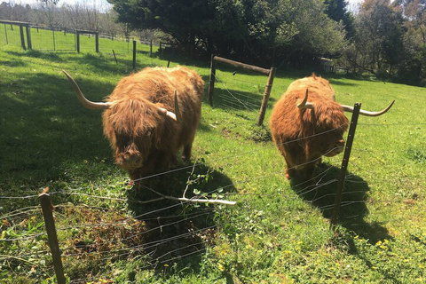 Neerim Country Cottages - Hervey Bay Accommodation 2