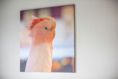 Nightcap At Chester Hill Hotel - Tourism Hervey Bay 2