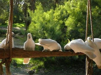 The Burrow At Wombat Bend - Hervey Bay Accommodation 0