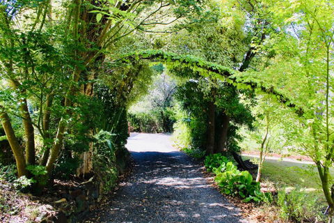 Nagoondie Studio - Tourism Hervey Bay 3