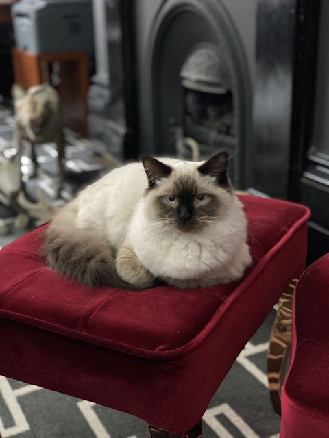 Macquarie Manor - Tourism Hervey Bay 5