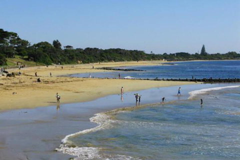 Roseneath Villa B & B - Hervey Bay Accommodation 5