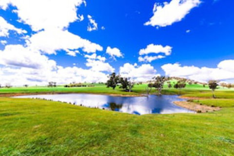 Hillview Farmstay - Hervey Bay Accommodation 0