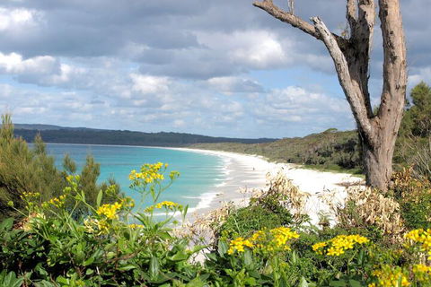 Walters Holiday Flats - Tourism Hervey Bay 4