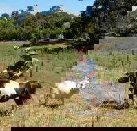 Country Cottages of Bridgetown - Tourism Hervey Bay