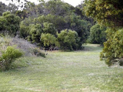 Absolute Waterfront Cottage - Hervey Bay Accommodation 3