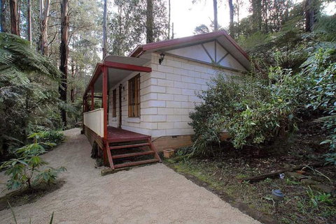 Fernglen Forest Retreat - Hervey Bay Accommodation 5