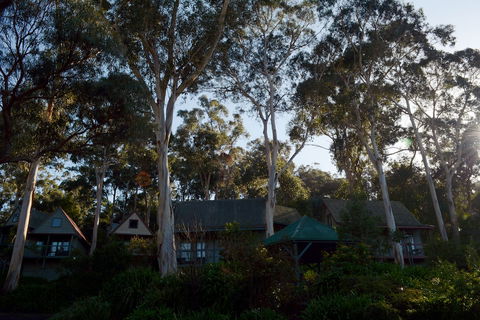 Great Ocean Road Cottages - Hervey Bay Accommodation 1