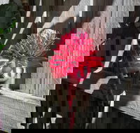 Latania Luxury Villas - Tourism Hervey Bay