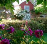 A Country Barn Retreat - Hervey Bay Accommodation