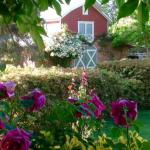 A Country Barn Retreat - Hervey Bay Accommodation 0