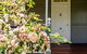 Apple Blossom Cottage - thumb 0